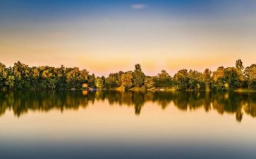 骆驼驼祥子的读后感通用5篇