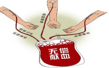 献血的活动总结优质6篇