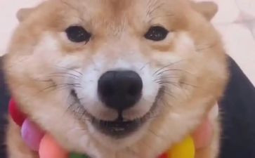 护士的笑作文通用7篇