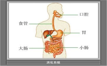 消化内科月总结7篇