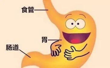 消化科护士述职报告范文5篇