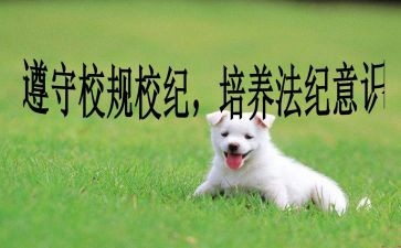 学校纪律教育活动方案5篇