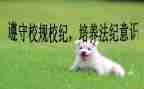 学校纪律教育活动方案5篇