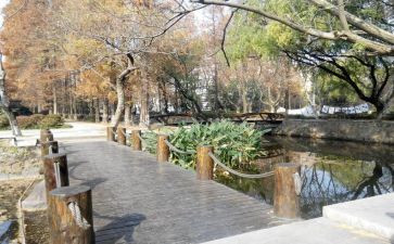 校内实训的心得体会6篇