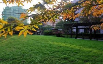 校园作文500字优质7篇
