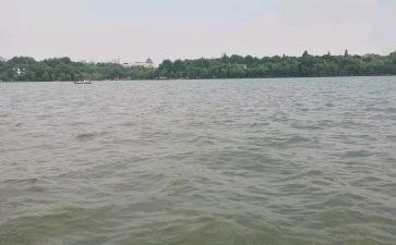 关于西湖的作文7篇