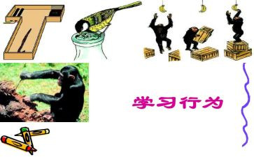 规范员工行为心得体会5篇