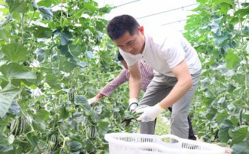 新农村建设社会实践报告5篇