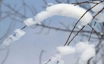关于除雪的调查报告最新6篇
