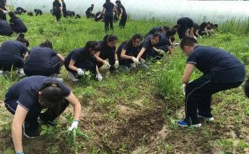 军训学农心得体会5篇