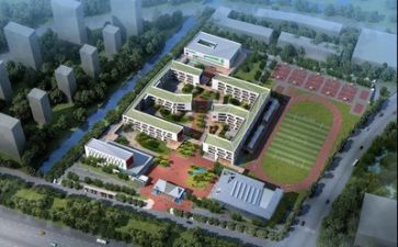 在学校做活动总结模板5篇