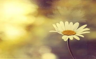 初中叙事作文模板6篇