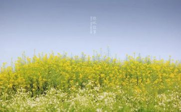 叙事感悟类作文8篇