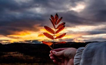 小学数学研读课标心得体会7篇