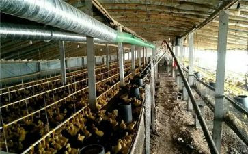 养殖棚租赁合同5篇