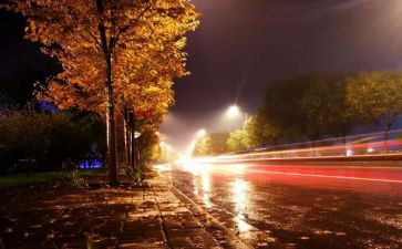 平安夜巡活动总结模板7篇