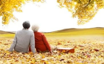 爷爷奶奶我爱您教案7篇