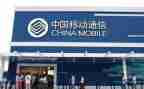 17移动公司述职报告6篇