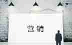 营销总结年终总结8篇