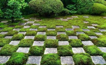 印象2024作文模板7篇