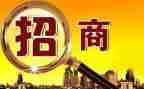 招商引资工作个人总结5篇