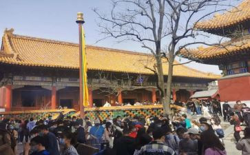 雍和宫人才市场调查报告5篇