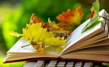 永恒的…作文5篇