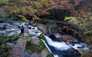 颐和园游览心得5篇