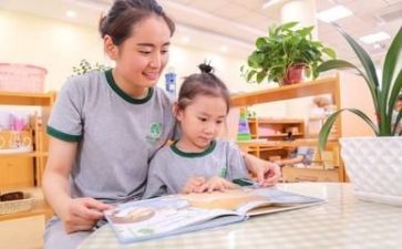 幼师实习报告范文优质7篇