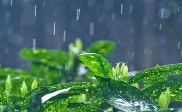 作文我是雨400字作文优质6篇