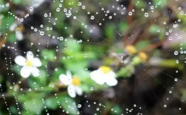 名著雷雨的读后感6篇