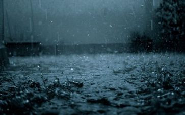 风和雨的故事教案精选5篇