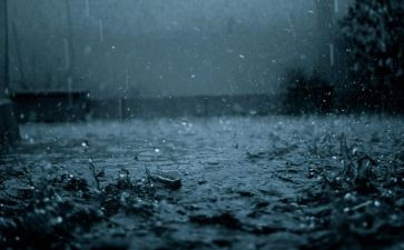 小班语言《雨》教案优质5篇