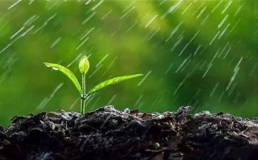 我和雨的作文8篇