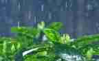 我和雨的作文通用7篇