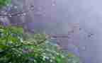 写秋雨的作文600字初中6篇
