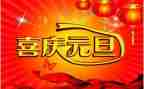 元旦节班级活动方案精选6篇