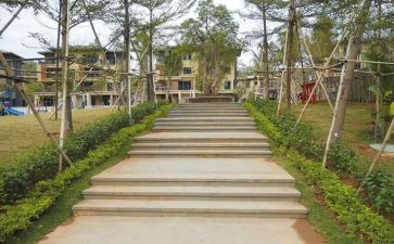 园建项目年终总结5篇
