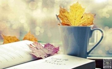 优秀阅读心得优秀7篇