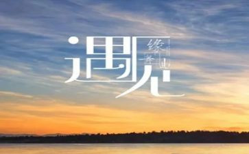 感谢遇见作文模板6篇