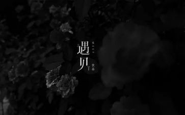 遇见大学生作文5篇