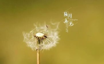 五年级再见作文8篇
