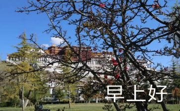 早起的人幼儿园教案5篇