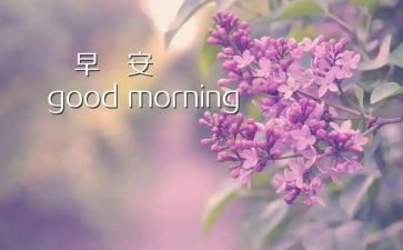 早教的实习报告6篇