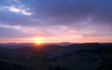 感恩节早教活动方案8篇