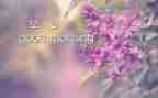 早教学管年终总结优秀5篇