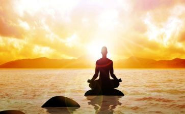 蛋宝宝站起来了小班科学教案7篇