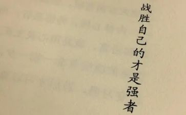 战胜挫折的作文5篇