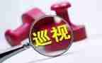 项目绩效整改报告7篇