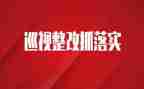 后厨整改报告优质6篇